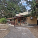 Магазин в Вълчи дол - 80 кв.м за 542 €/кв.м - Снимка #1