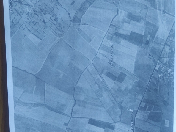 Земеделски имот в Велинград -  кв.м за 2856 €/дка - Снимка #1