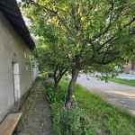 Къща в с. Ряхово, Област Русе - 120 кв.м за 153 €/кв.м - Снимка #1