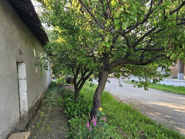 Къща в с. Ряхово, Област Русе - 120 кв.м за 153 €/кв.м - Снимка #1