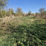 Парцел в с. Горно Ботево, Област Стара Загора - 1070 кв.м за 10 €/кв.м - Снимка #1