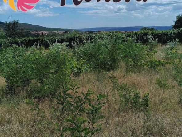 Парцел в Аксаково - 665 кв.м за 61 €/кв.м - Снимка #1