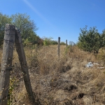 Земеделски имот в Плевен, Дружба 1 -  кв.м за 780 €/дка - Снимка #1