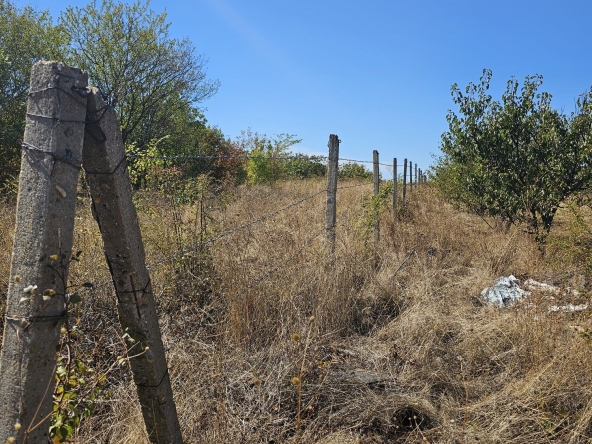 Земеделски имот в Плевен, Дружба 1 -  кв.м за 780 €/дка - Снимка #1