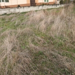 Парцел в с. Зелендол, Област Благоевград - 800 кв.м за 29 €/кв.м - Снимка #1