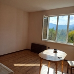 Дава се под наем Двустаен апартамент в Симитли - 50 кв.м за 15000 € - Снимка #1