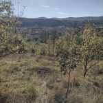 Парцел в с. Ковачевци, Област Перник - 1000 кв.м за 20 €/кв.м - Снимка #1