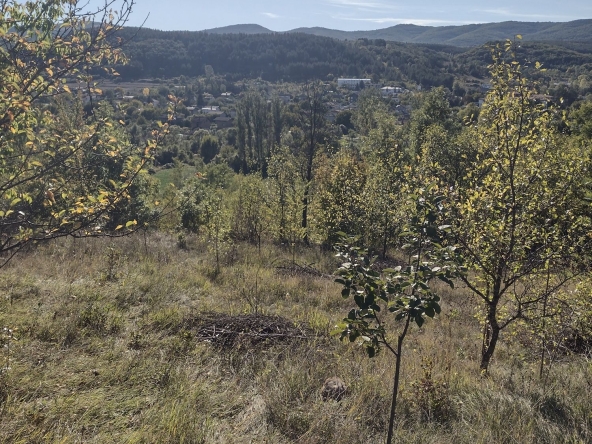 Парцел в с. Ковачевци, Област Перник - 1000 кв.м за 20 €/кв.м - Снимка #1