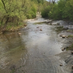 Парцел в Елена - 1250 кв.м за 7 €/кв.м - Снимка #1