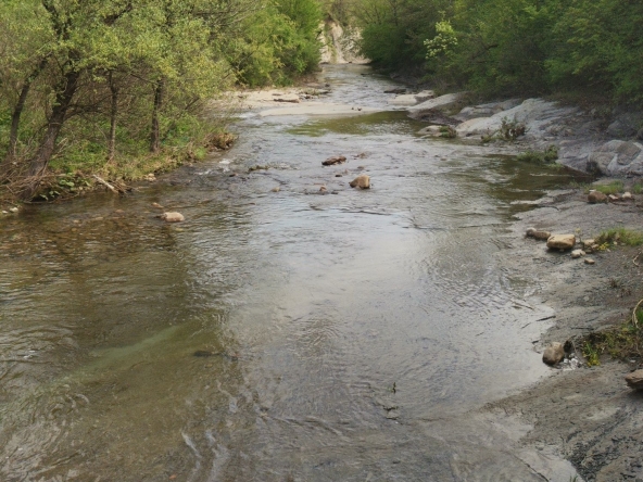 Парцел в Елена - 1250 кв.м за 7 €/кв.м - Снимка #1