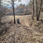 Парцел в с. Добърчин, Област София-област - 3972 кв.м за 6 €/кв.м - Снимка #1