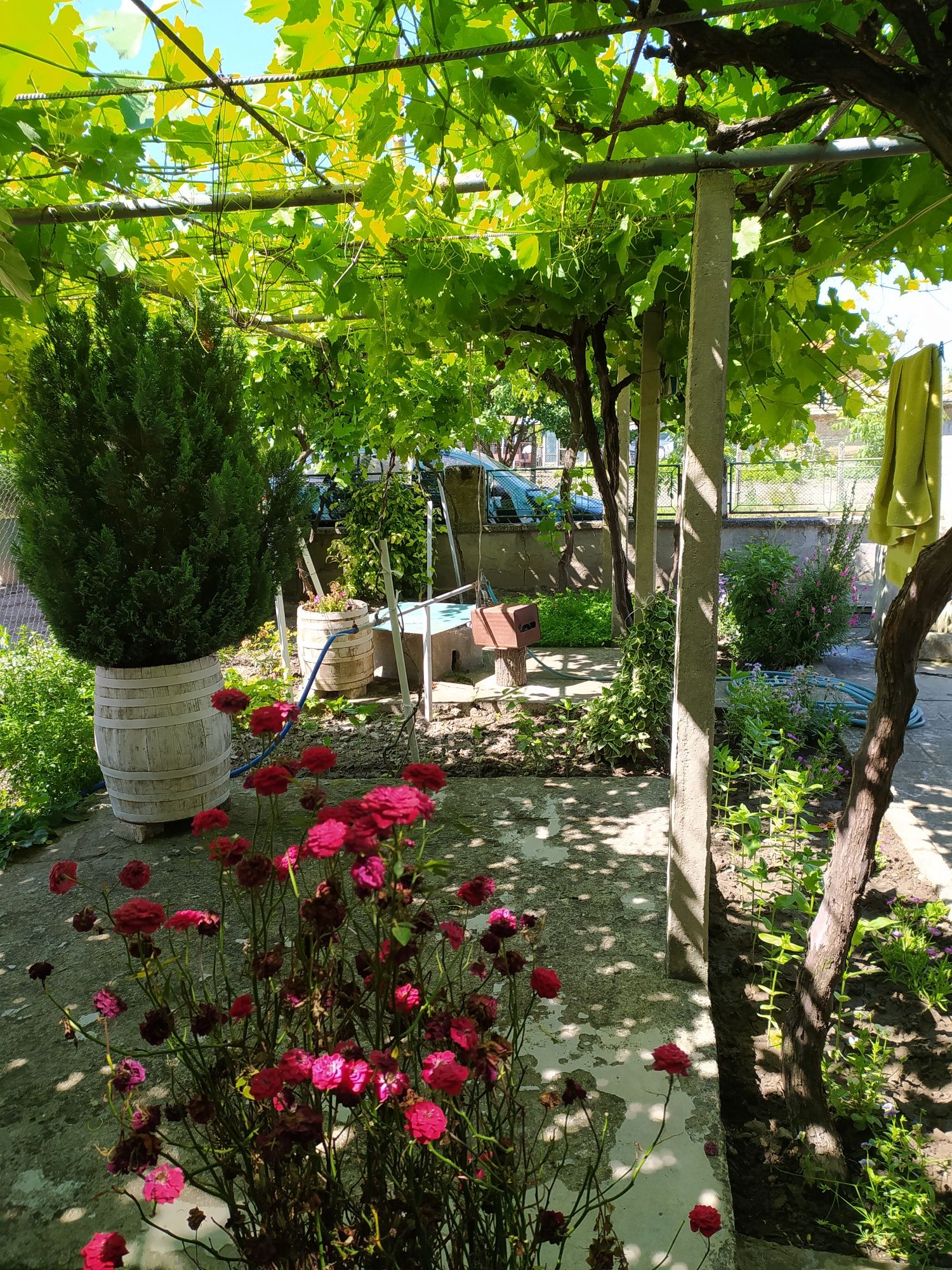 Къща в Варна, Генералите - 186 кв.м за 259 €/кв.м - Снимка #1