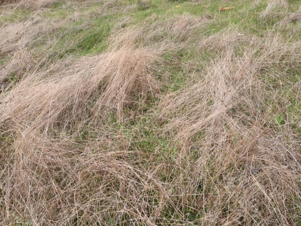 Парцел в Благоевград, Идеален център - 958 кв.м за 53 €/кв.м - Снимка #1