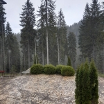 Двустаен апартамент в с. Градсковски колиби, Област Видин - 91 кв.м за 330 €/кв.м - Снимка #1