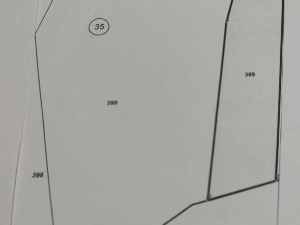 Земеделски имот в Асеновград -  кв.м за 16 €/дка - Снимка #1