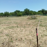 Парцел в Силистра, Изток - 1300 кв.м за 7 €/кв.м - Снимка #1