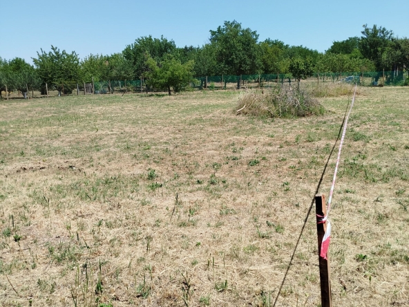 Парцел в Силистра, Изток - 1300 кв.м за 7 €/кв.м - Снимка #1