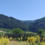 Парцел в с. Долни Пасарел, Област София-град - 2800 кв.м за 97 €/кв.м - Снимка #1