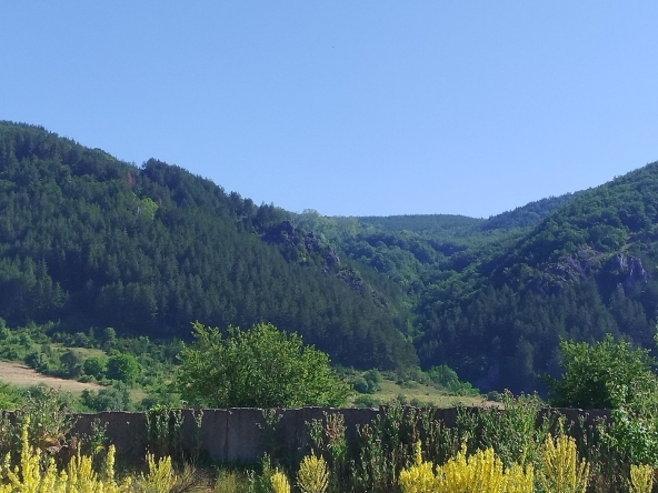 Парцел в с. Долни Пасарел, Област София-град - 2800 кв.м за 97 €/кв.м - Снимка #1