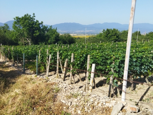 Земеделски имот в Сопот -  кв.м за 13 €/дка - Снимка #1