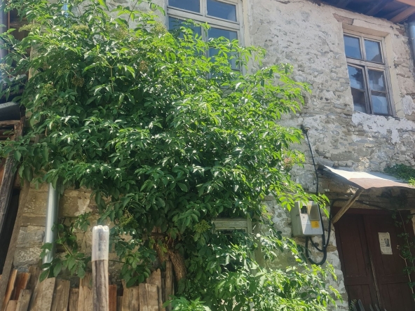 Къща в с. Момчиловци, Област Смолян - 142 кв.м за 113 €/кв.м - Снимка #1