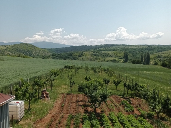 Парцел в Благоевград, Освобождение - 2250 кв.м за 21 €/кв.м - Снимка #1