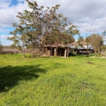 Парцел в с. Генерал Колево, Област Варна - 1500 кв.м за 7 €/кв.м - Снимка #1