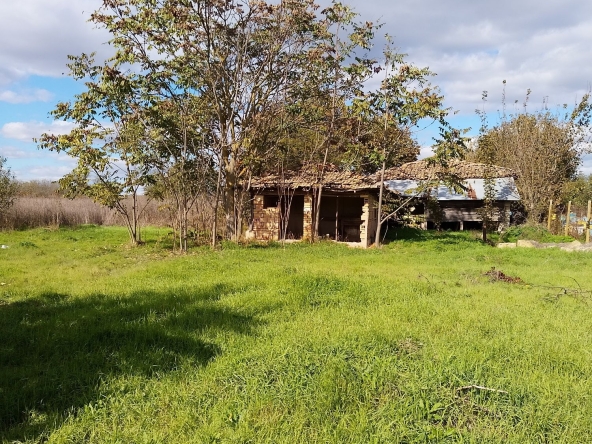 Парцел в с. Генерал Колево, Област Варна - 1500 кв.м за 7 €/кв.м - Снимка #1