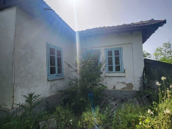 Къща в с. Изворово, Област Добрич - 70 кв.м за 129 €/кв.м - Снимка #1