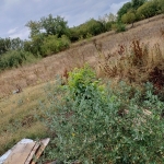 Парцел в с. Никола Козлево, Област Шумен - 2500 кв.м за 5 €/кв.м - Снимка #1