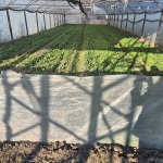 Дава се под наем Земеделски имот в Пазарджик, Окръжна болница -  кв.м за 295.8 € - Снимка #1