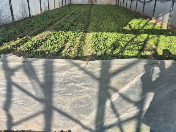 Дава се под наем Земеделски имот в Пазарджик, Окръжна болница -  кв.м за 295.8 € - Снимка #1