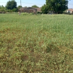 Парцел в с. Генералово, Област Хасково - 1563 кв.м за 18 €/кв.м - Снимка #1