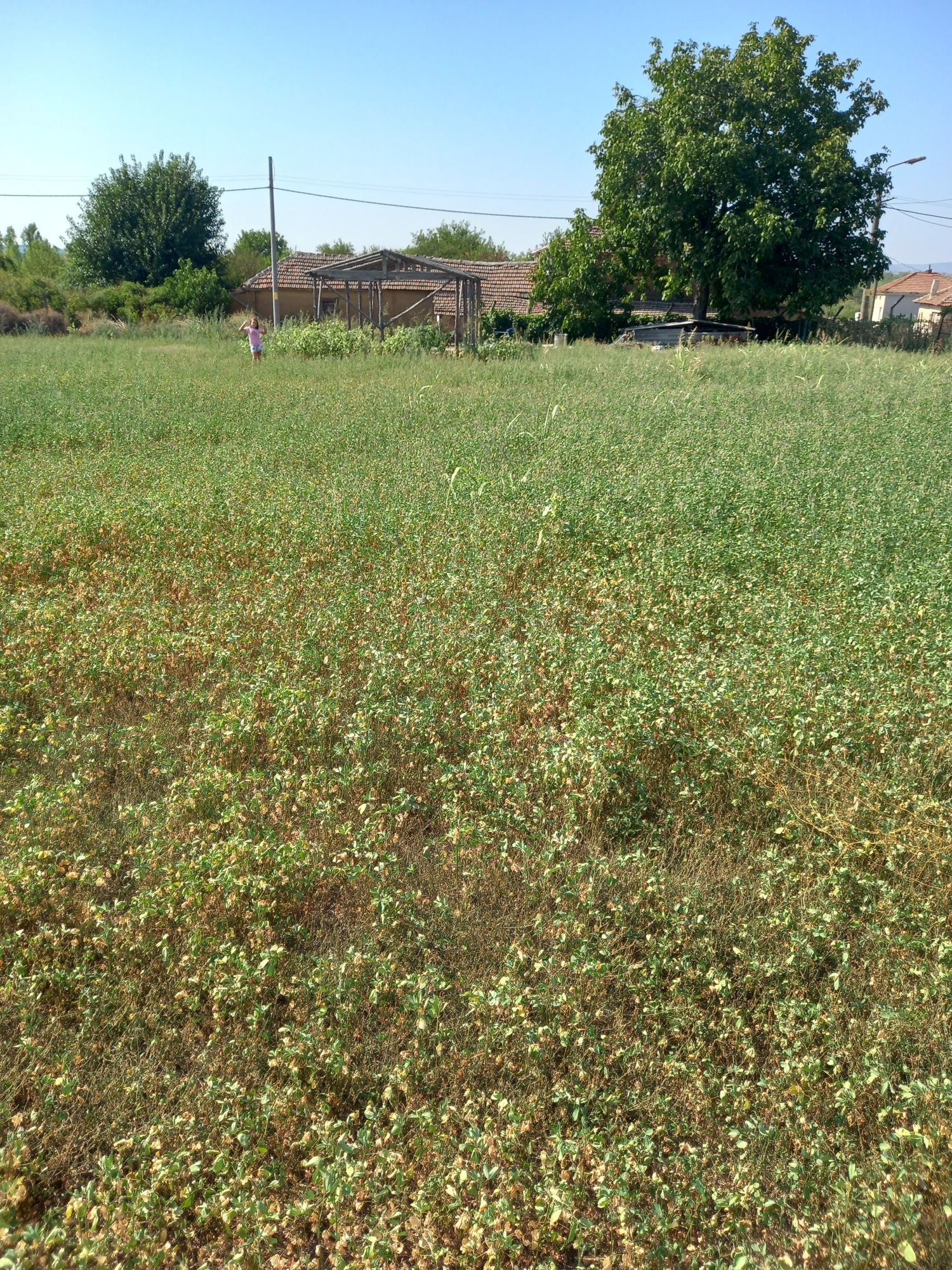 Парцел в с. Генералово, Област Хасково - 1563 кв.м за 18 €/кв.м - Снимка #1