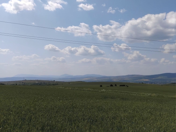 Парцел в Сапарева баня - 1900 кв.м за 51 €/кв.м - Снимка #1