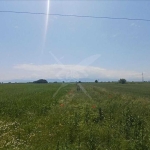 Парцел в с. Граф Игнатиево, Област Пловдив - 18095 кв.м за 13 €/кв.м - Снимка #1