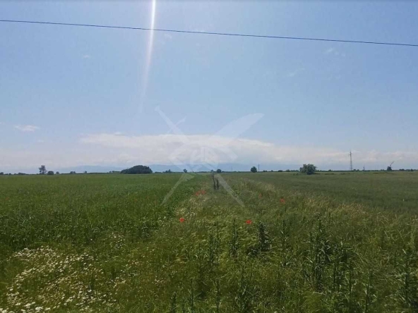 Парцел в с. Граф Игнатиево, Област Пловдив - 18095 кв.м за 13 €/кв.м - Снимка #1