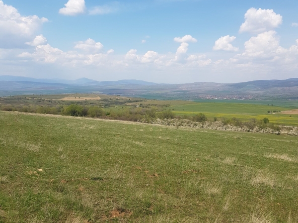 Парцел в Сапарева баня - 1900 кв.м за 67 €/кв.м - Снимка #1