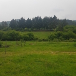 Парцел в Сапарева баня - 561 кв.м за 89 €/кв.м - Снимка #1