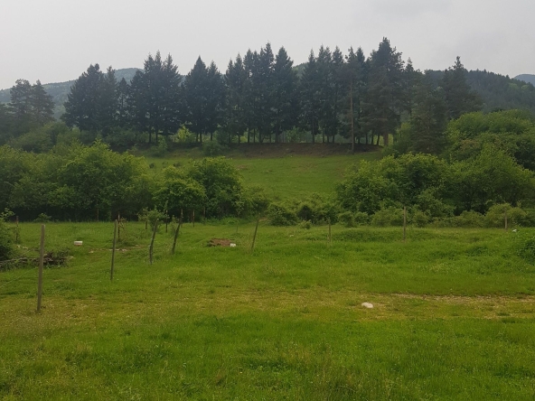 Парцел в Сапарева баня - 561 кв.м за 89 €/кв.м - Снимка #1