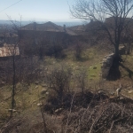 Парцел в Кочериново - 450 кв.м за 14 €/кв.м - Снимка #1