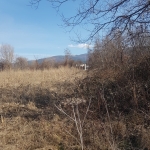 Парцел в Сапарева баня - 1400 кв.м за 25 €/кв.м - Снимка #1