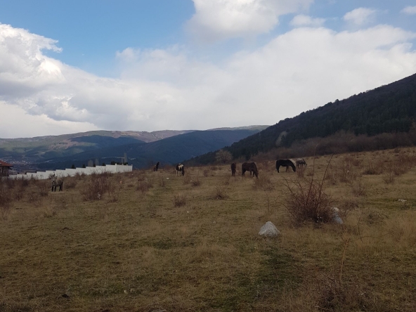 Парцел в Сапарева баня - 2100 кв.м за 71 €/кв.м - Снимка #1