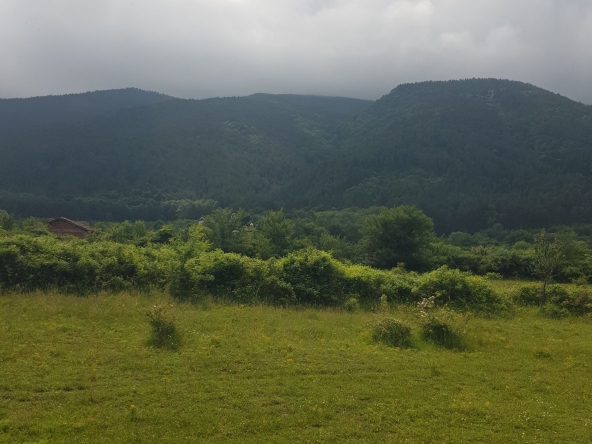 Парцел в Сапарева баня - 2500 кв.м за 6 €/кв.м - Снимка #1