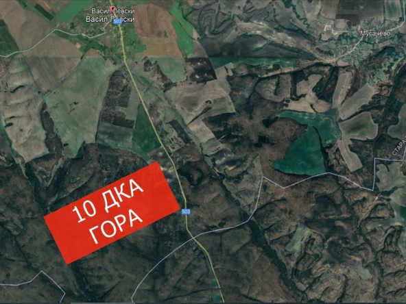 Парцел в с. Васил Левски, Област Стара Загора - 10000 кв.м за 1 €/кв.м - Снимка #1