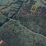 Земеделски имот в Карлово -  кв.м за 1105 €/дка - Снимка #1