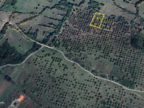 Земеделски имот в Карлово -  кв.м за 1105 €/дка - Снимка #1