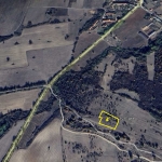 Земеделски имот в с. Горни Домлян, Област Пловдив -  кв.м за 595 €/дка - Снимка #1