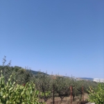 Парцел в Дупница - 2030 кв.м за 6 €/кв.м - Снимка #1