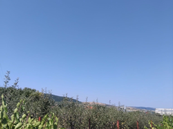 Парцел в Дупница - 2030 кв.м за 6 €/кв.м - Снимка #1